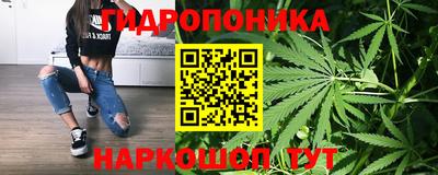 мяу мяу мука Нягань