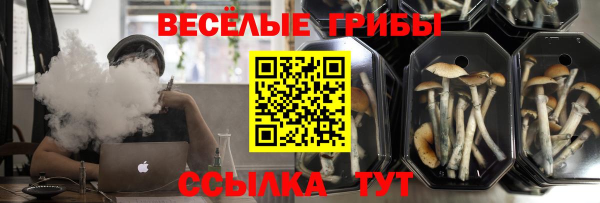 Старая Купавна  Галлюциногенные грибы Magic Shrooms  Вход с VPN 